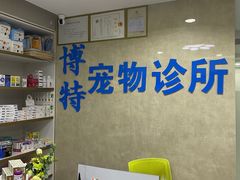 -博特宠物医院24h犬猫全科.骨科·异宠