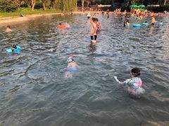 -柳浪游泳场