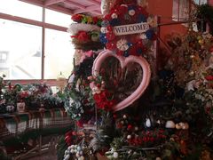 -陶缘陶瓷工厂店