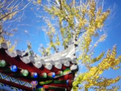 -莲湖公园