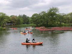 -西溪国家湿地公园