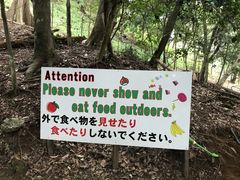 -岚山猴子公园