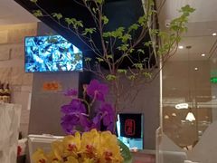 -Hatsune隐泉日式料理(SKP店)