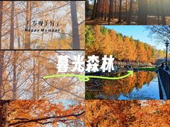 -白水寺森林公园