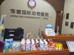 -宠爱国际动物医院· 猫科· 外科·中兽医(长白店)