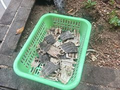 -侠成水上农庄(工业大道店)