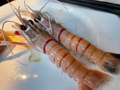 -Mr·Fish鱼鲜生海鲜放题(银泰in99店)