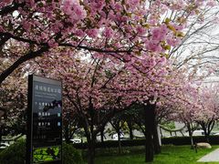 -唐城墙遗址公园