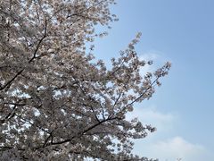 -苏州上方山国家森林公园