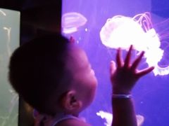 -成都浩海立方海洋公园