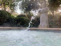 -苏州湾·王焰温泉