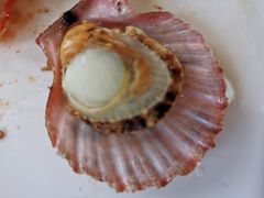-港畔赶海蒸汽海鲜烧烤自助(仙螺岛店)