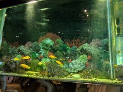 -泰谷酒店·太古码头闽菜自助餐厅