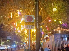 -西苑公园