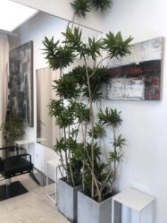 -Hair  Gallery