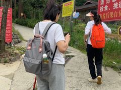 -九峰山