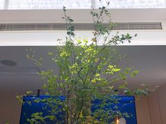 -晟永興烤鸭店(五道口店)