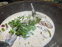 -鲜潭蒸汽石锅鱼(五道口购物中心店)
