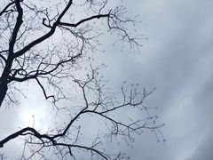 -东钱湖旅游度假区