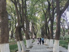 -红梅公园