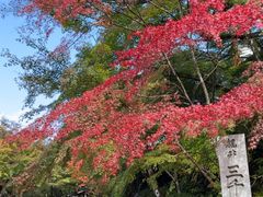 -三千院