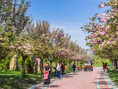 -南通洲际绿博园