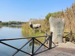 -溱湖国家湿地公园