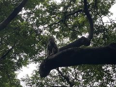 -黔灵山公园