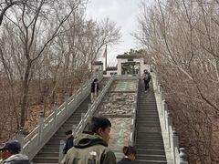 -爱新觉罗皇家博物院