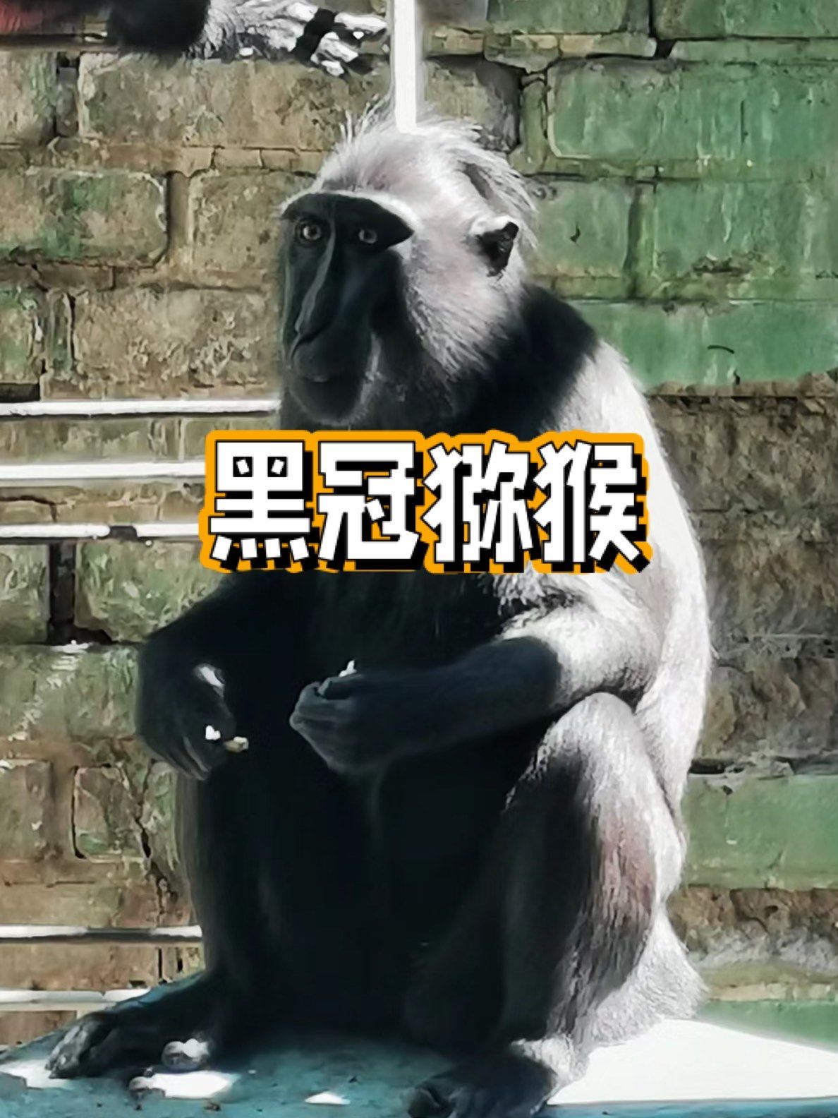 五一逛野生动物园