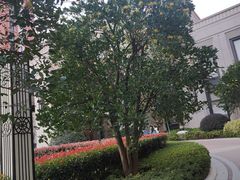 -颛桥紫薇花园