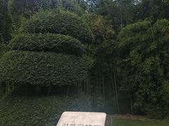 -苏州河梦清园环保主题公园