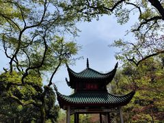 -岳麓山风景名胜区