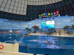 -泉城欧乐堡海洋极地世界