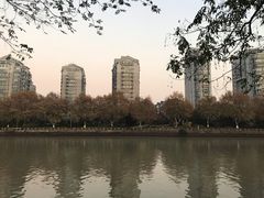 -润和祥小砵头甜酒酿