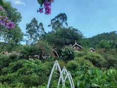 -广东天露山旅游度假区