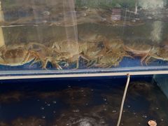 -阳澄湖大闸蟹·琼灵阁牌品牌连锁(吴中总店)