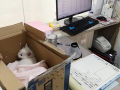 -荔康动物医院(康王北路店)