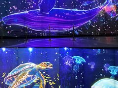 -海合安成都极地海洋公园