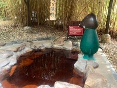 -森波拉火山温泉