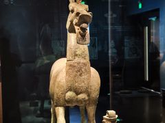 -广西壮族自治区博物馆