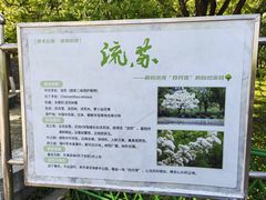 -泰丰公园