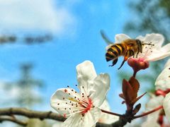 -两河城市森林公园