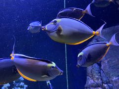 -成都浩海立方海洋公园