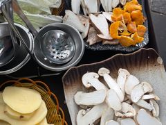 -蘑统田下·野生菌火锅