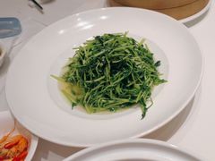 -同庆楼(奥体中心店)