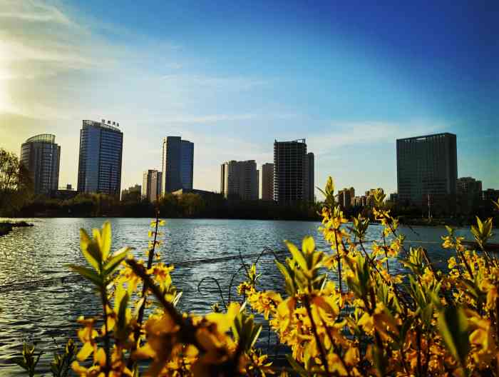 济宁任城湿地公园图片图片