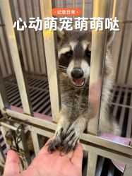 -Moni星球萌宠·小马宝莉·灵蛇·高端高阶全萌宠互动体验俱乐部(红豆国际广场店)