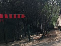 -勇士之星真人CS·团建·拓展(清水河公园店)