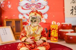 -玛瑞莎专业孕妇摄影(越秀店)